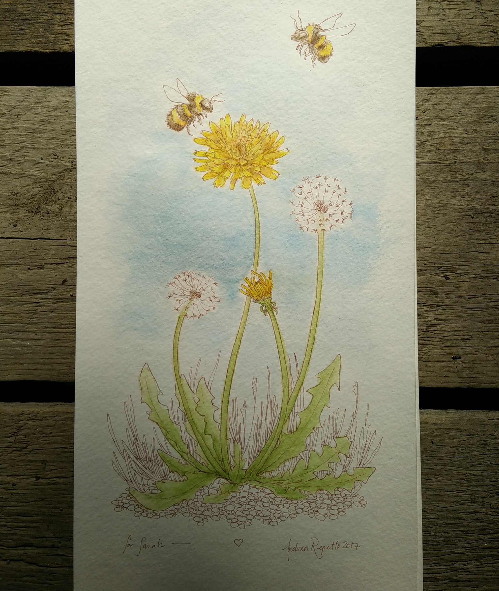 IMG_20170618_205103_443